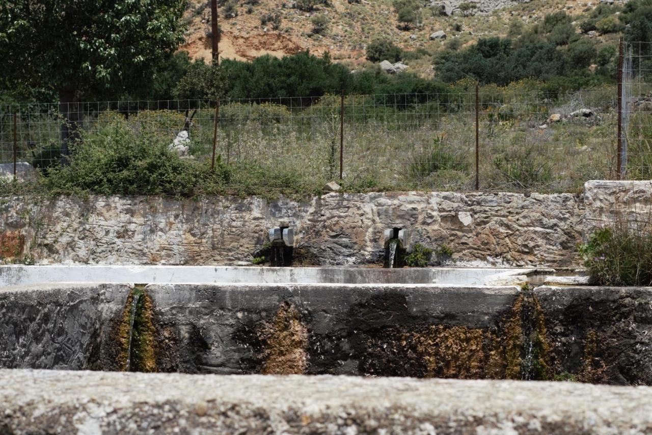 Atalia Apartment, Orne Crete المظهر الخارجي الصورة